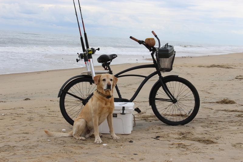fish n mate bicycle fishing rod holder – beach fishing carts