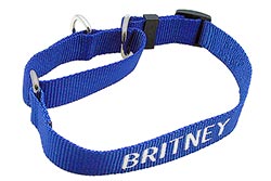 blue nylon martingale collar with pet name embroidered