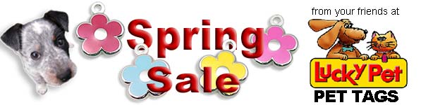 Spring Sale