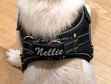 Personalized Harness