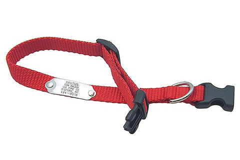 Red adjustable collar with a stainless rivet-on ID tag attached