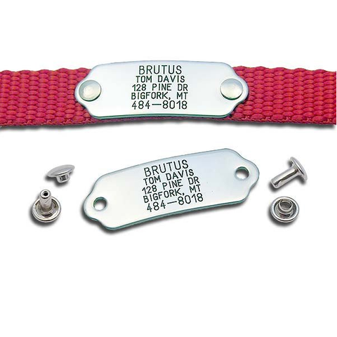 Stainless steel rivet-on tag attached to a red collar, another stainless rivet tag not attached and showing rivet parts