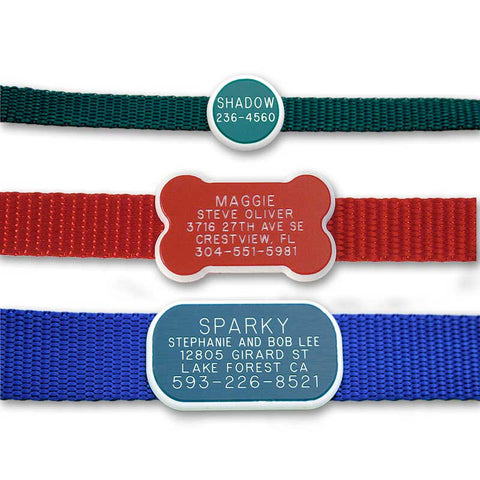 3 plastic collar tags, attached flat on collars: a small round green one, medium red bone, and large blue rectangle