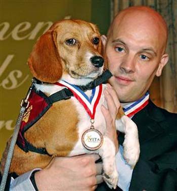 A dog winning a medal