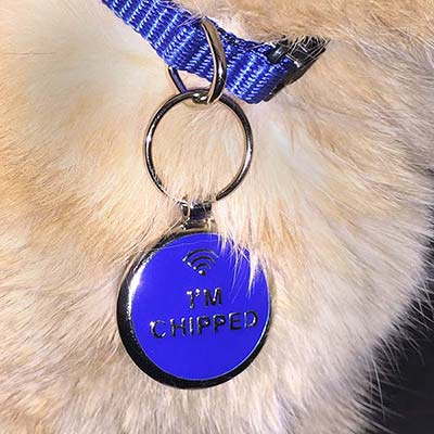 Microchip tag