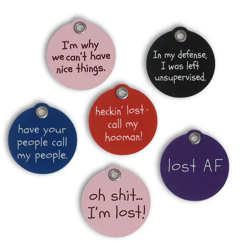 44 Hilarious Collar Tags For Pets Who Tend To Get Lost