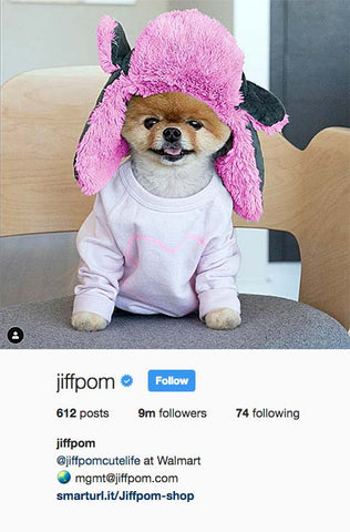 Jiffpom