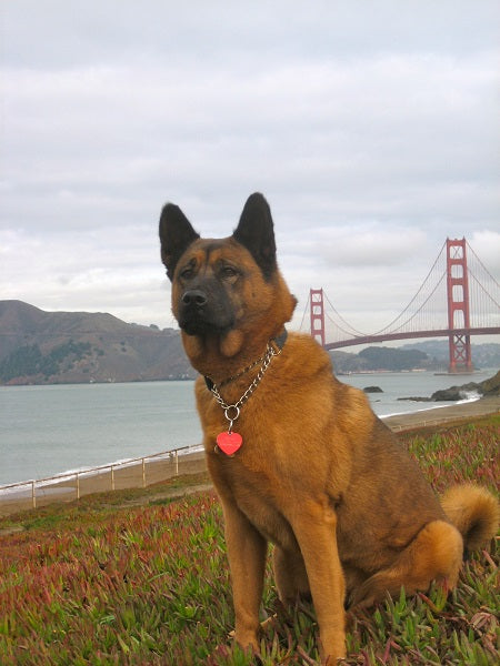 Maya posing in front of the Golden Gate Bridge