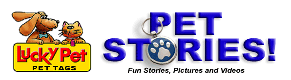 LuckyPet Pet Stores