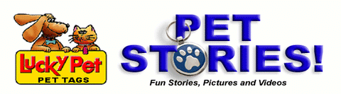 LuckyPet pet stories