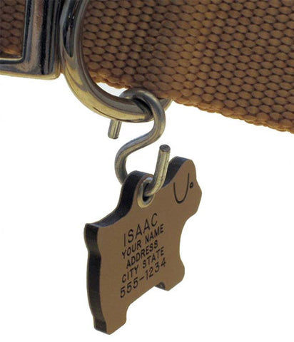 The Best Way to Attach Cat & Dog ID Tags to a Collar - LuckyPet