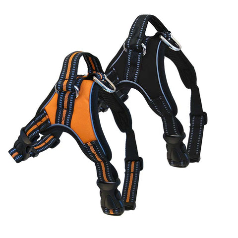 Dog Harnesses