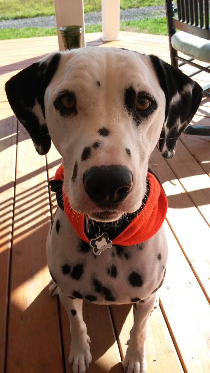 Tanner and his bone tag