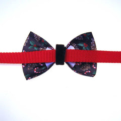 Back of Bow Tie attached to a collar