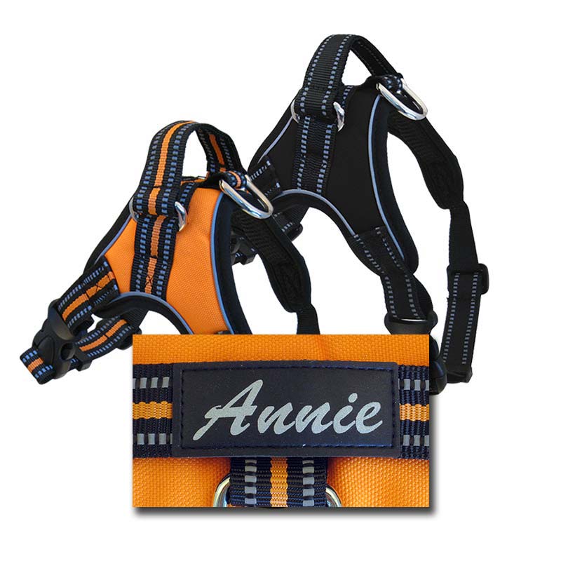 2 Pieces of The Custom Personalized Embroidered Dog Harness