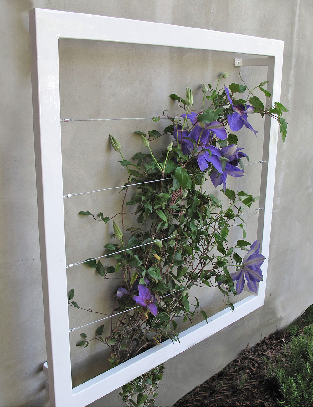 Ina Wall Trellis Regular cloud