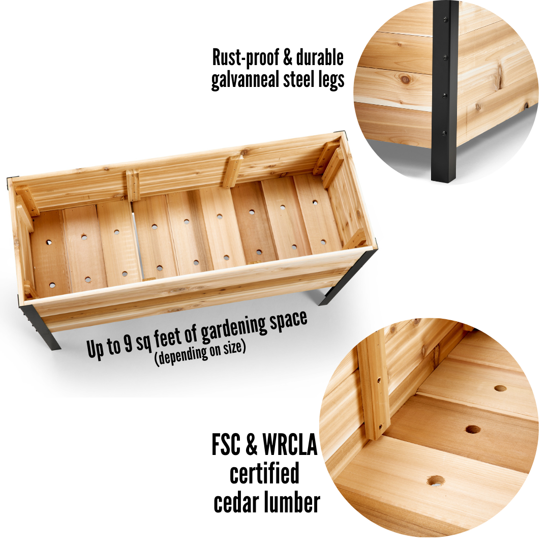 planter 71ec6a51 7a74 4fb6 af1c 1d1e1f592edf