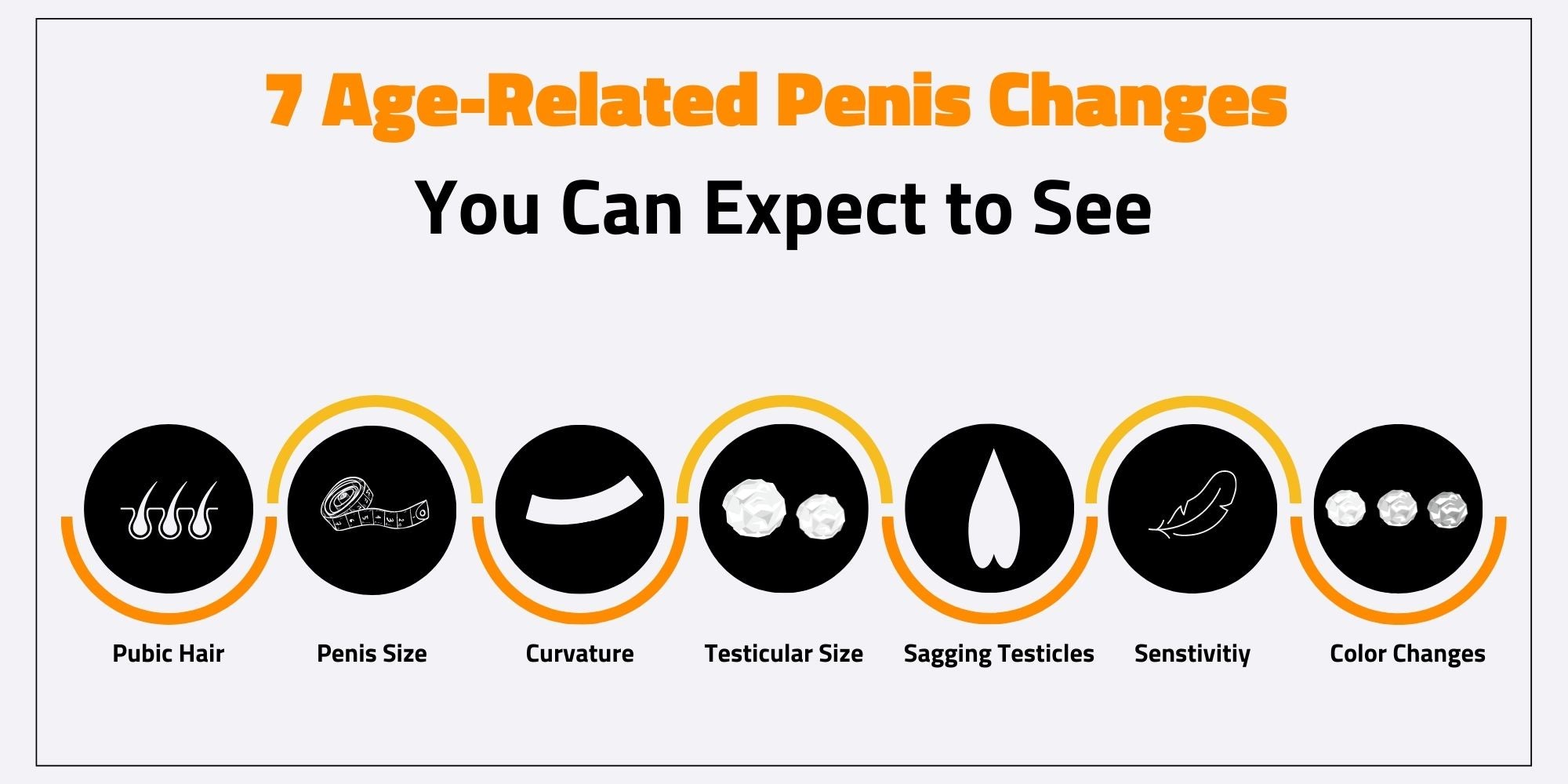 Age-related Penis Sizes Infographic