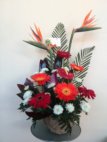 Exóticas – Arreglos Florales Guatemala