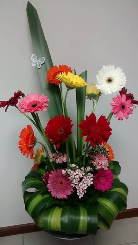 Gerberas Divertidas – Arreglos Florales Guatemala