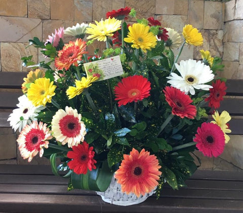 Gerberas – Arreglos Florales Guatemala