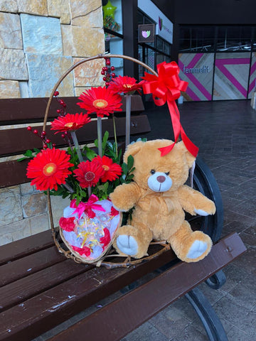 Violetera de Amor con Peluche y Chocolates – Arreglos Florales Guatemala