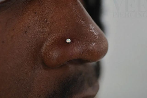 Stud in Nostril Piercing