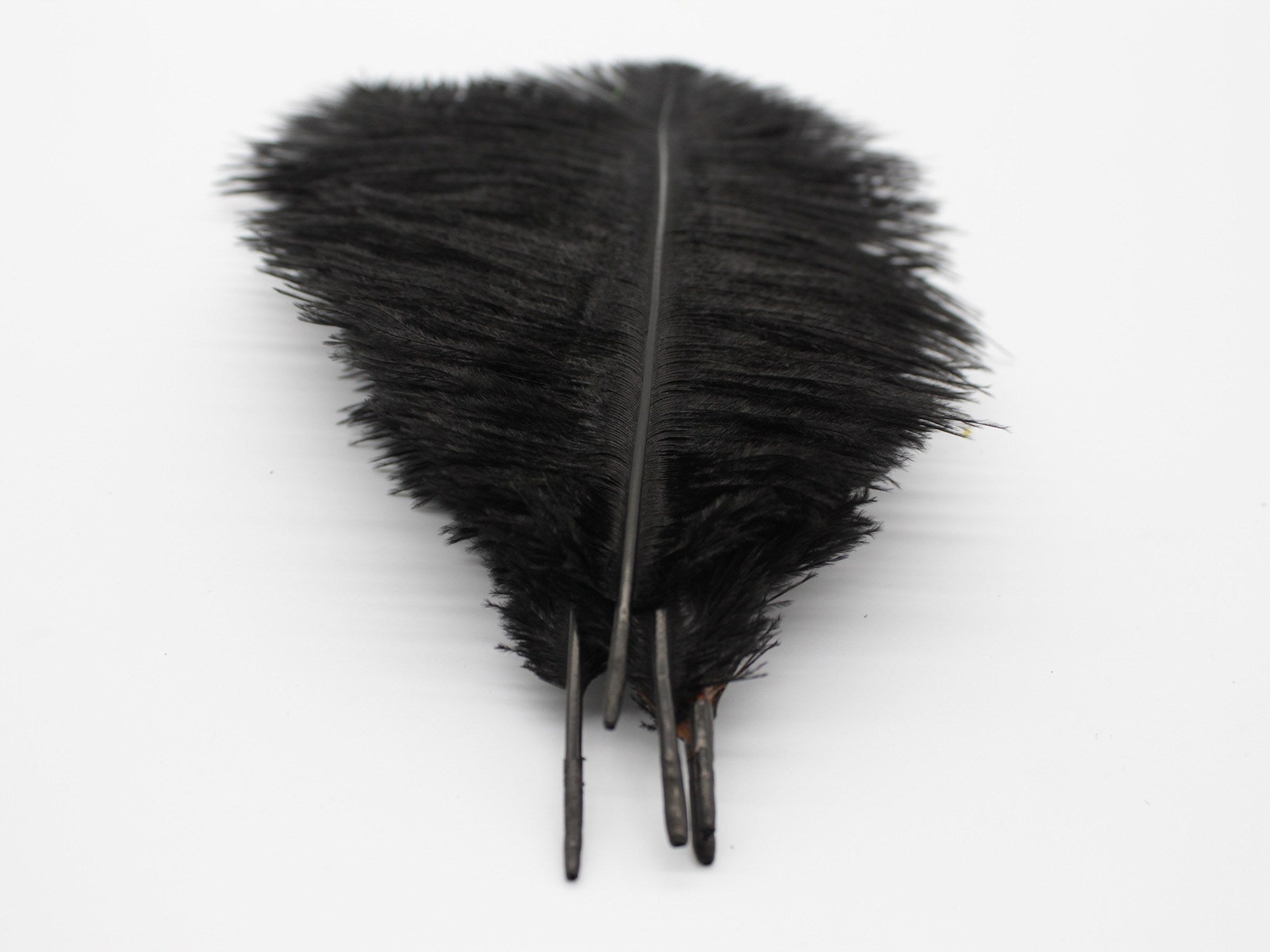 Black Ostrich Feathers Drabs (13-16