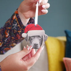 Santa pet hat decoration