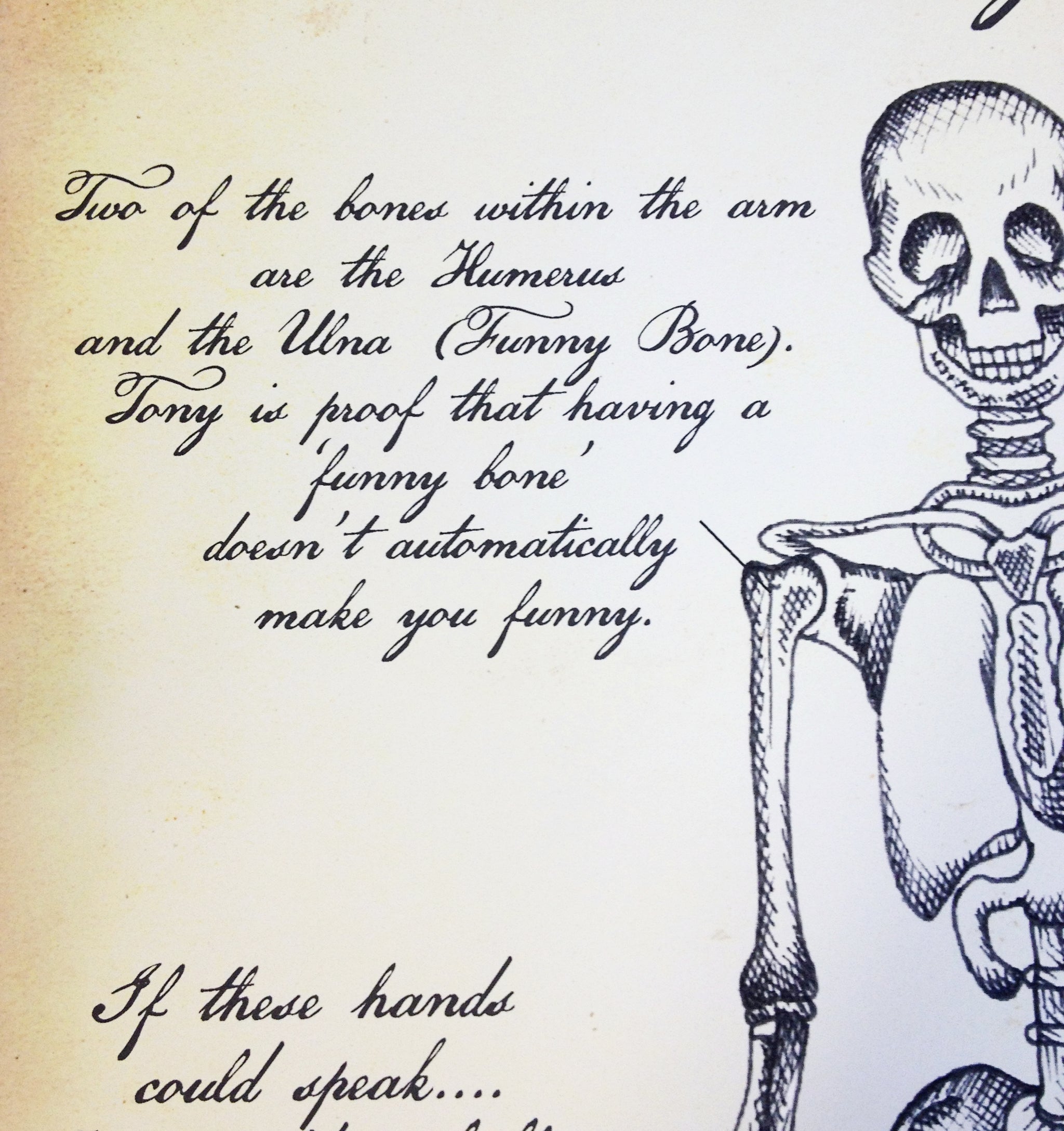 Personalised Skeleton Anatomy Print by Betsy Benn