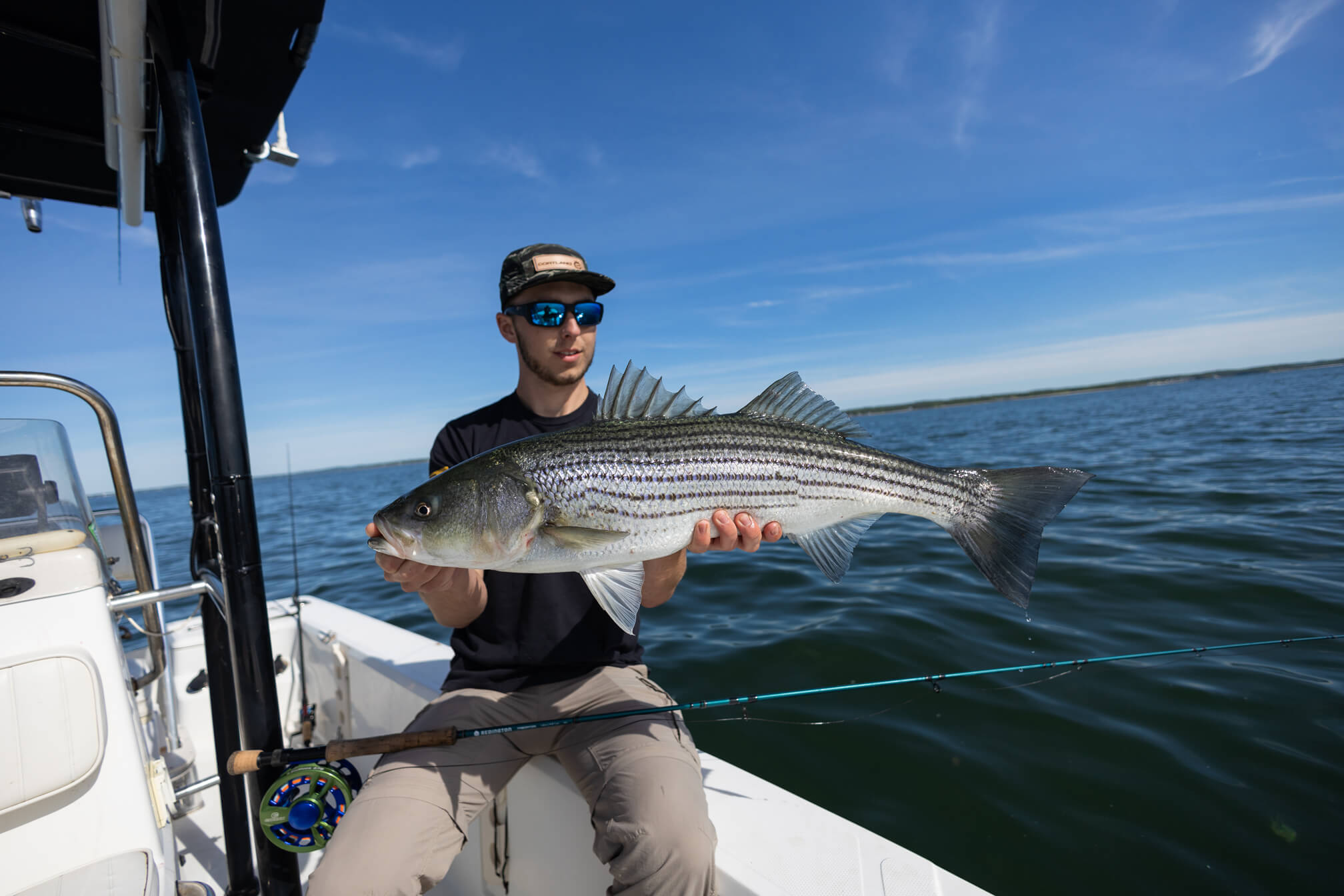 Striped Bass on Rain Bait - On The Water