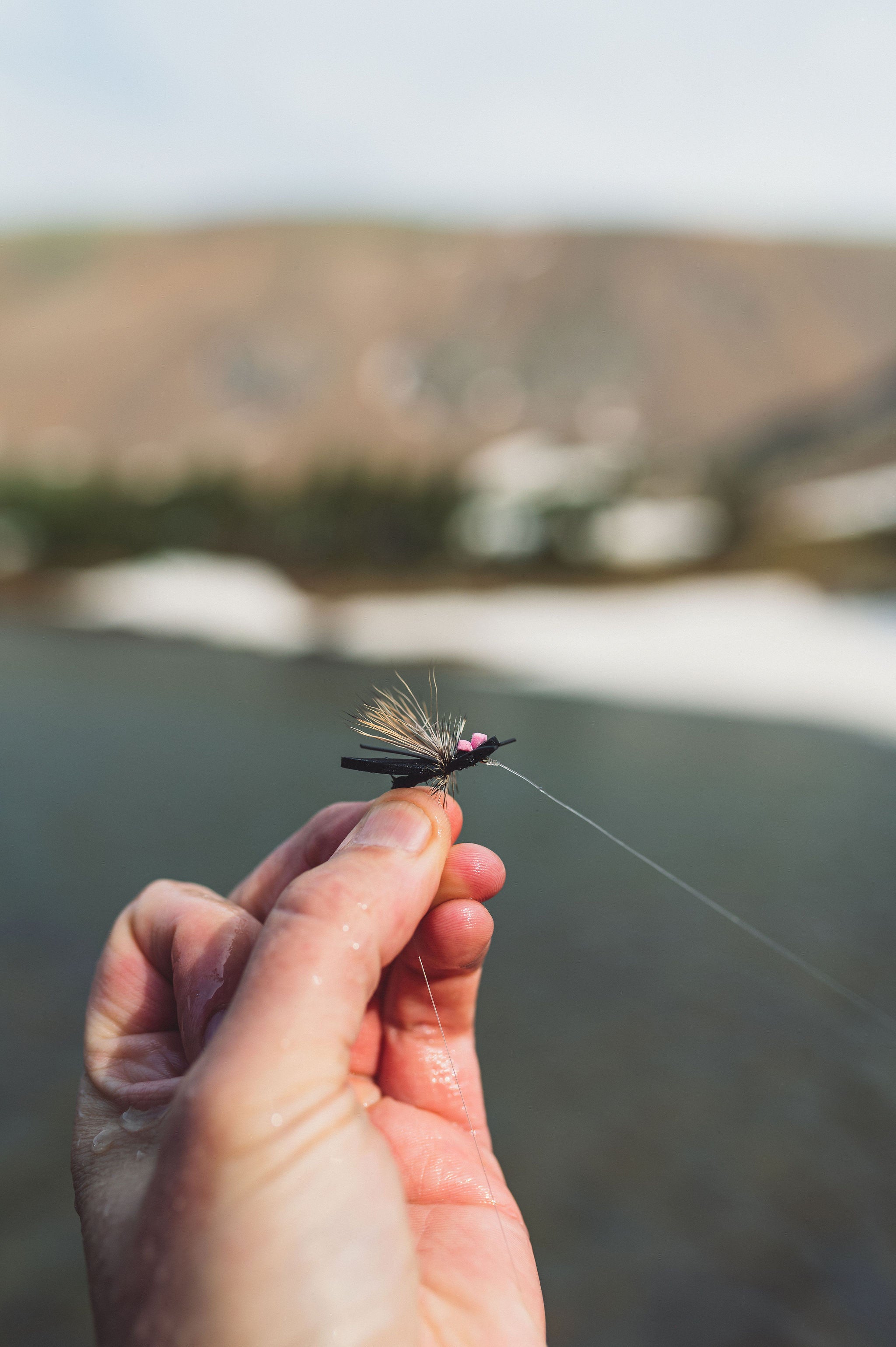 A hand holding up a fly and showing the knot in the tippet