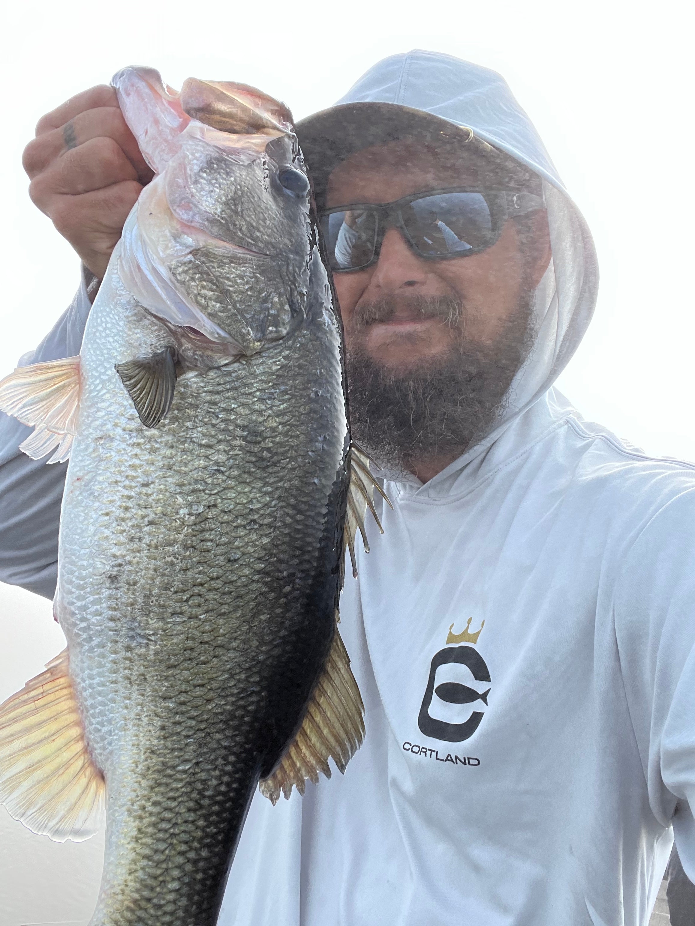 WHO WON?!? I love both of these frogs and both of them catch huge bass