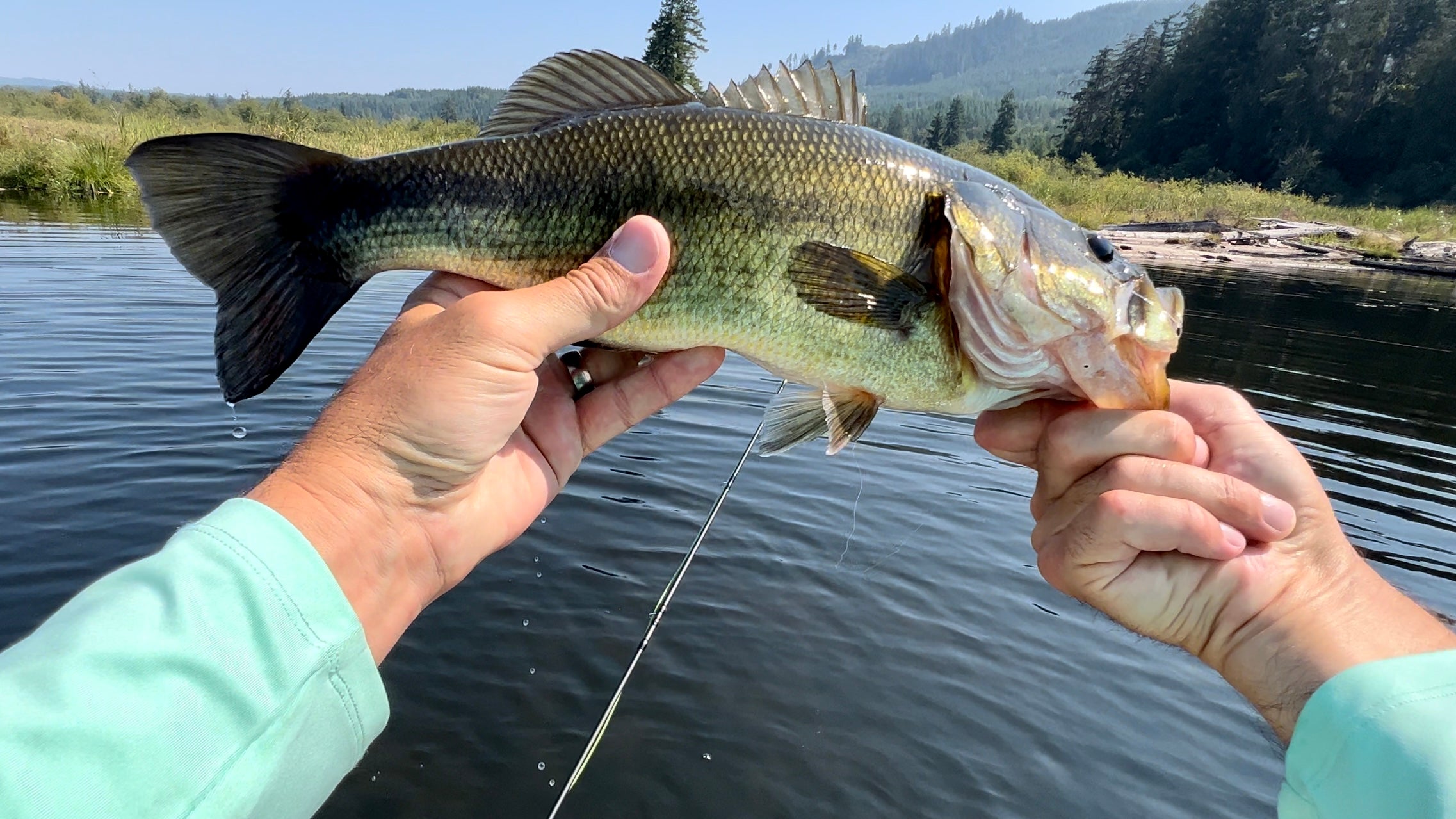 Outstretched hands holding onto a bass