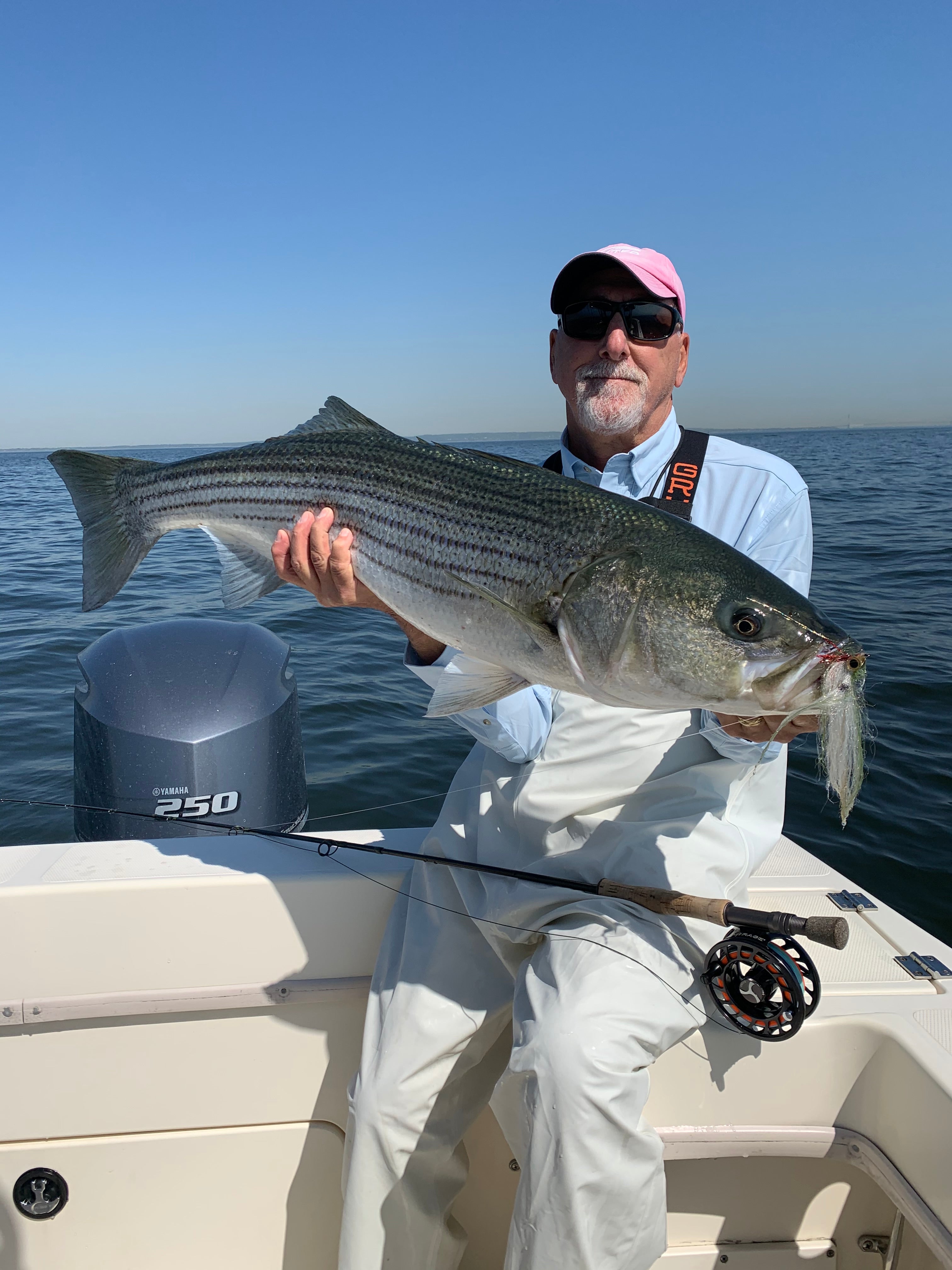 Angler hält einen Barsch hoch, den er beim Fliegenfischen in der Raritan Bay gefangen hat