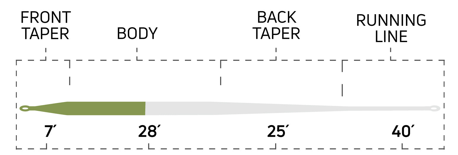 Cortland Long Belly Distance Fly Line - WF6F - Olive/White