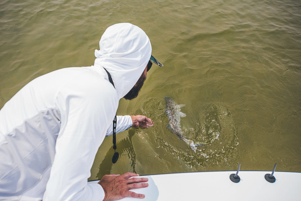 Man leaning over a boat to pickup a bass