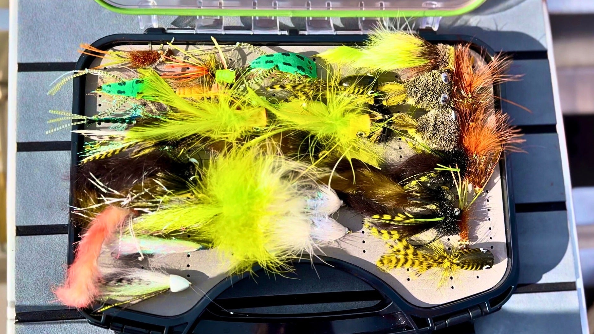 A tackle box with various fly fishing flies