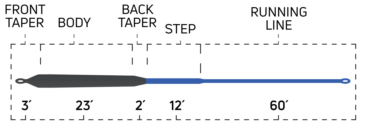 Cortland - Cold Salt Series - Striped Bass Sink 8 Fly Line