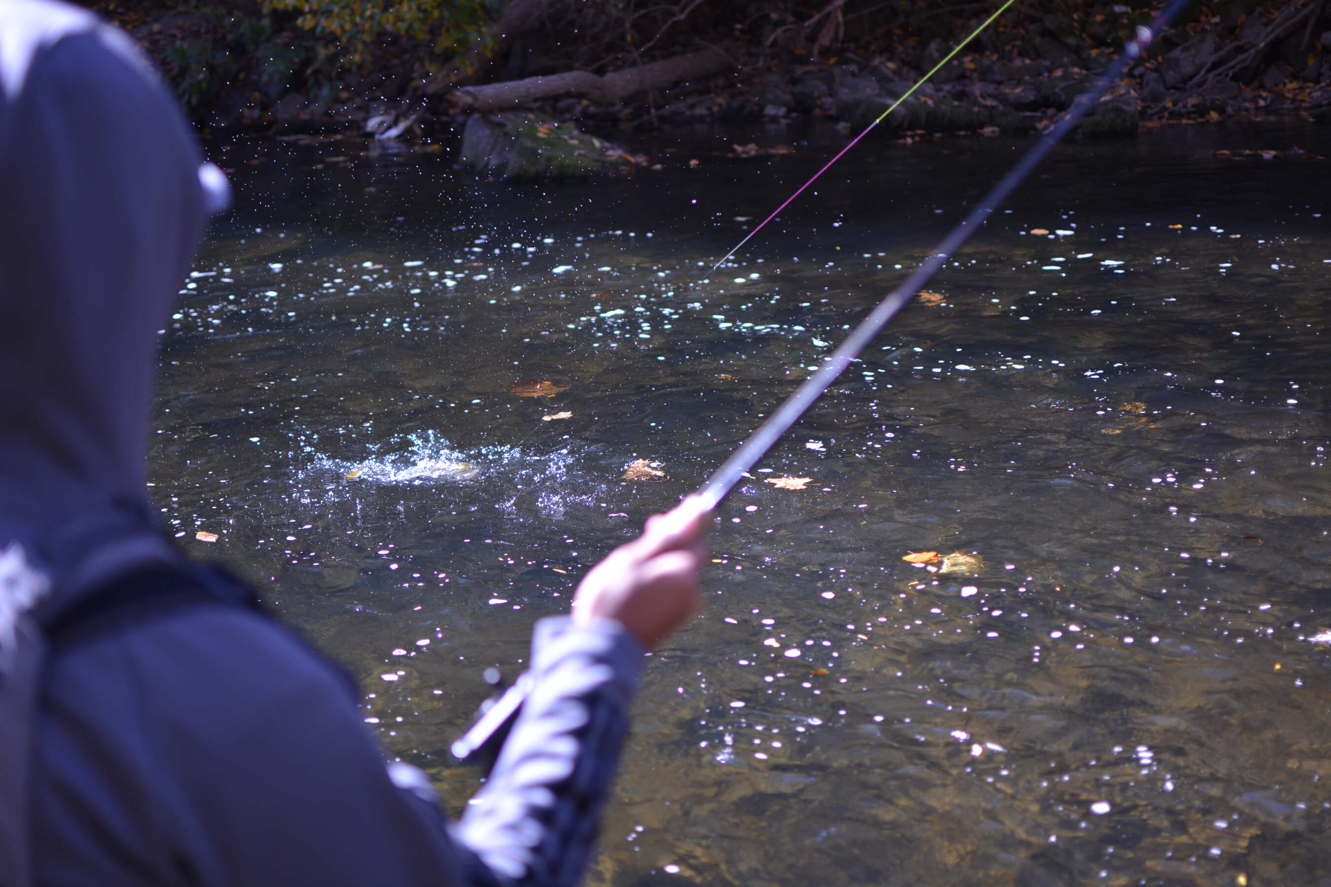 An individual holding onto their fly rod with their line in the water