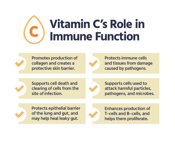 vitamin c immune function chart