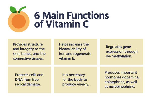 main roles of vitamin c