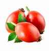 Rosehip Oil