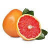 Grapefruit Seed Extract