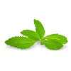 Stevia