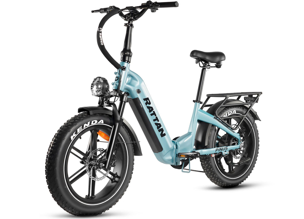 Rattan Pinus Foldable Electric Bike