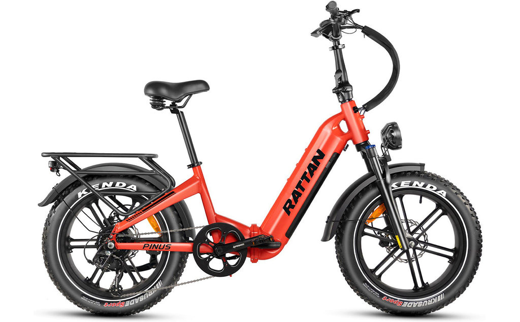 Rattan Pinus Foldable Electric Bike