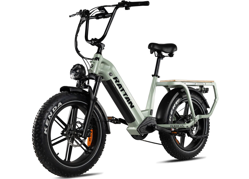 Rattan Quercus Fat Tire Cargo Electric Bike