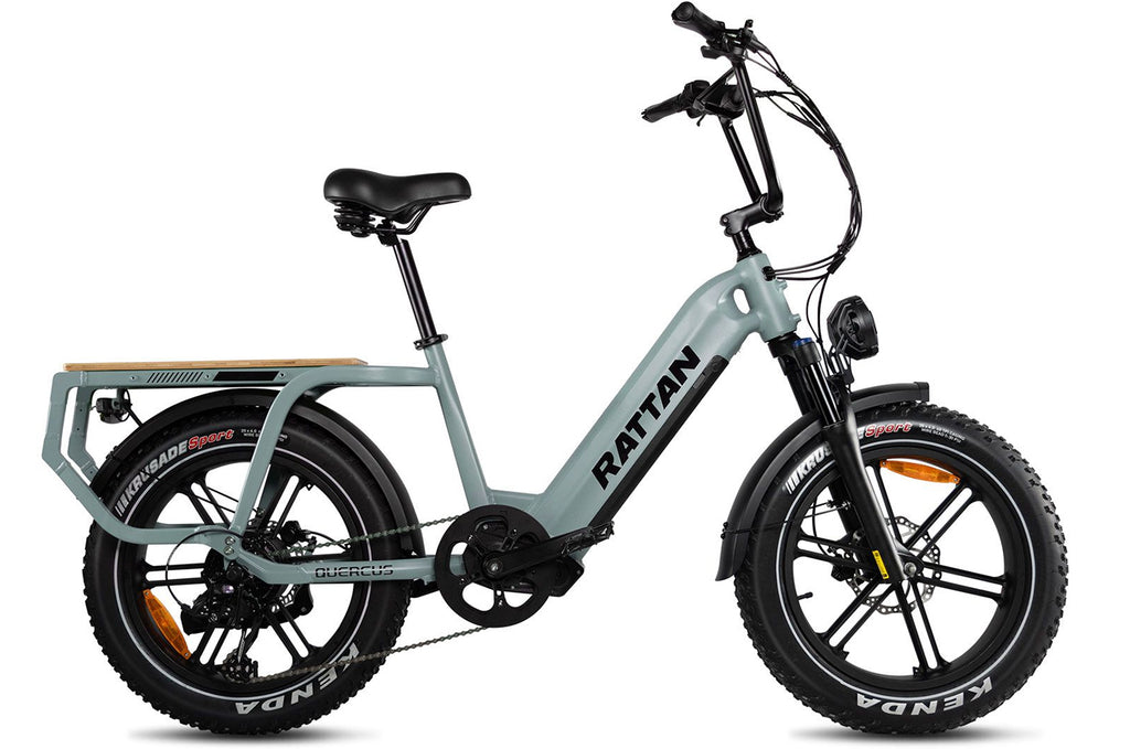 Rattan Quercus Fat Tire Cargo Electric Bike