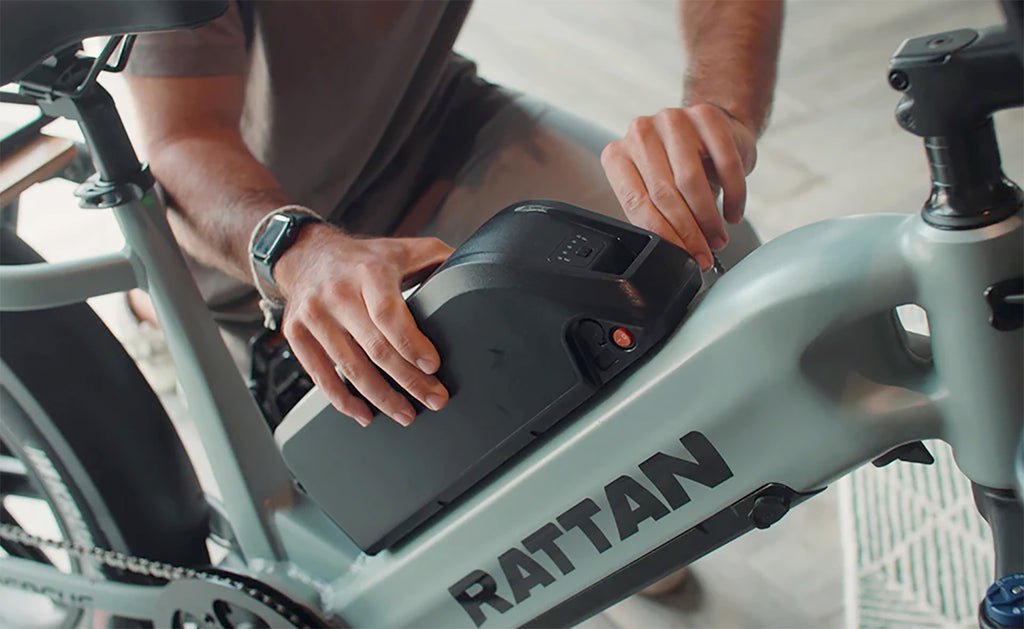 Rattan Quercus Fat Tire Cargo Electric Bike